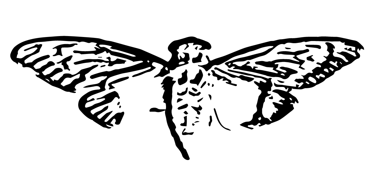 Logo Intro